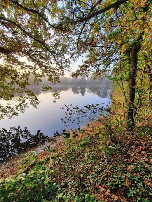 Ferienhaus Blauer See Mit Optionalem Hot-Tub بوكهورن المظهر الخارجي الصورة