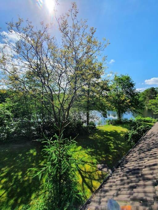 Ferienhaus Blauer See Mit Optionalem Hot-Tub بوكهورن المظهر الخارجي الصورة