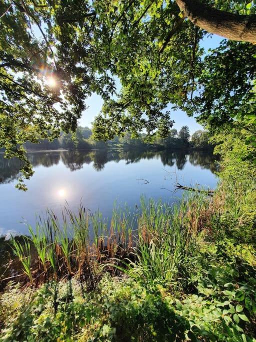 Ferienhaus Blauer See Mit Optionalem Hot-Tub بوكهورن المظهر الخارجي الصورة